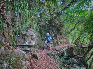 樂騎台灣 (乐骑台湾) Taiwan Bike Tour 帶你去 臺灣自行車登山王挑戰 Taiwan Kom Challenge (TAIWAN KOM) bike taiwan